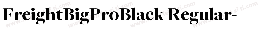 FreightBigProBlack Regular字体转换
